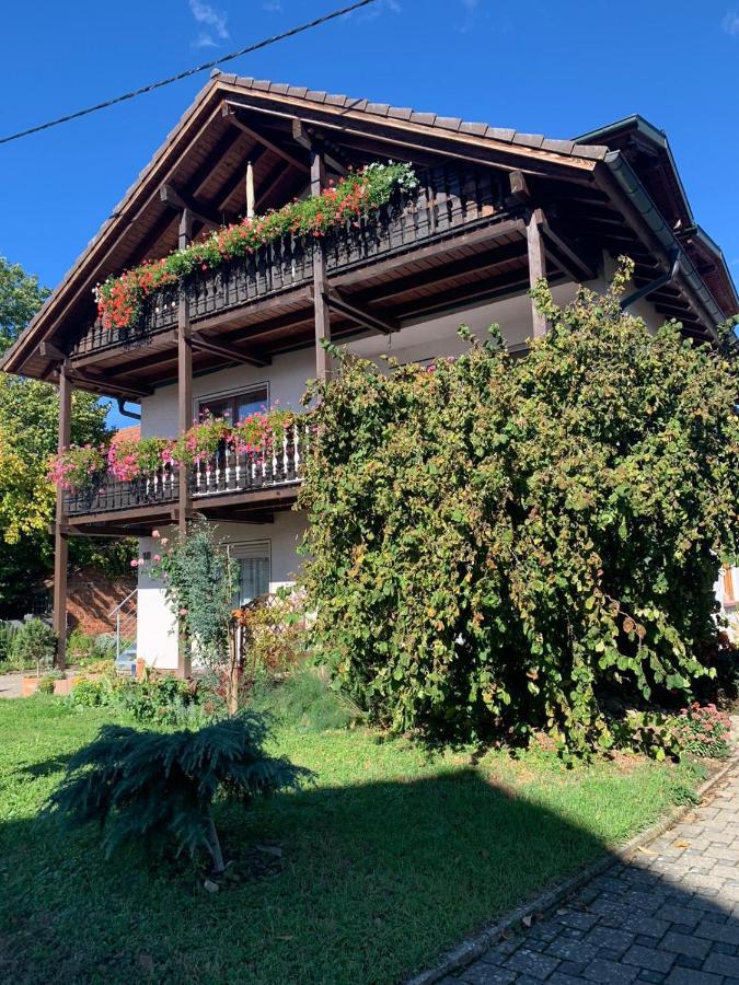 Gaestehaus Zum Rhein 莱茵豪森 外观 照片