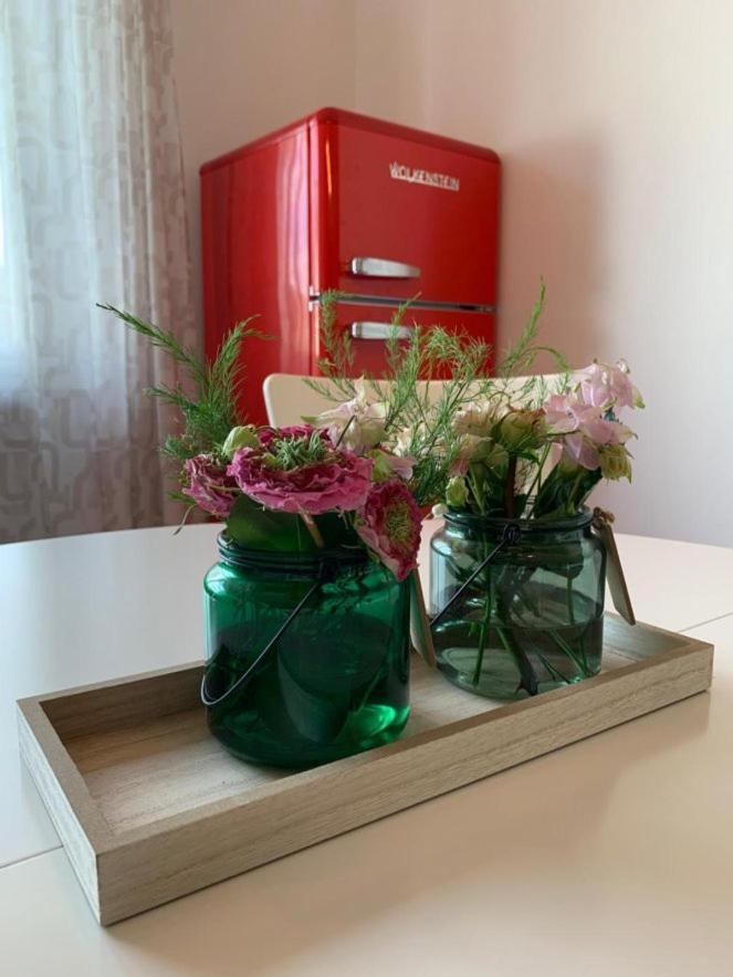 Gaestehaus Zum Rhein 莱茵豪森 外观 照片